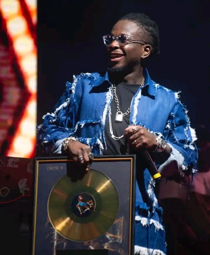 Le premier disque d’or ivoirien du Rap Ivoire obtenu par l'artiste Didi B est certifié par L’APRODEMCI (Association des Producteurs et Editeurs de Musique de Côte d'Ivoire) / DREAM MAKER / BURIDA (Bureau Ivoirien du Droit d'Auteur).