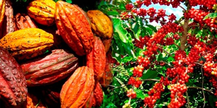 L'objectif de ces échanges est de faciliter les exportations du cacao et du café ivoiriens vers le marché de l'Union européenne.